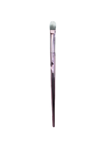 Pensula Fard Pleoape WET N WILD